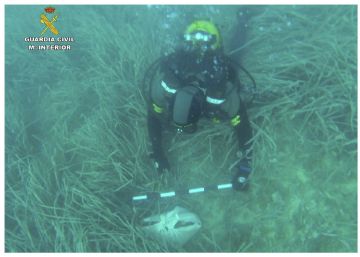El Grupo Especial de Actividades Subacu&aacute;tica (Geas) ha hallado cinco o seis huesos  envueltos en una s&aacute;bana en aguas de Calpe.rn 