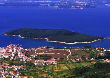 Swimming swine stake claim to a Galician desert island