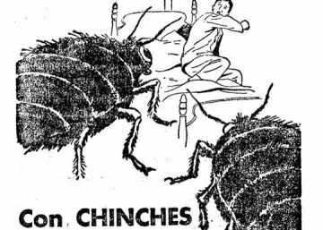 ¡Chinches!