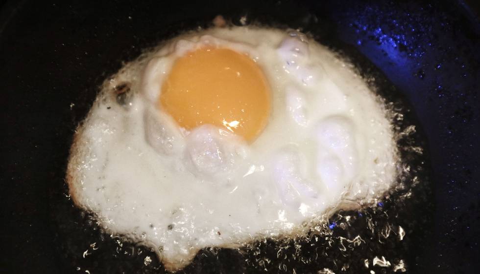 Resultado de imagen de huevos fritos