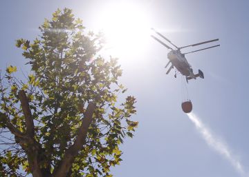 La policía mantiene las sospechas sobre los cursos de Faasa Aviación