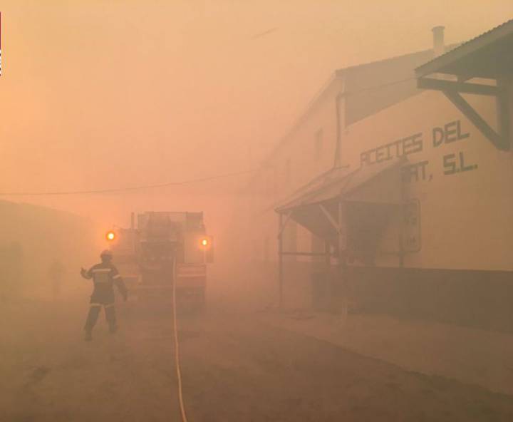 1514565342_380746_1514566816_noticia_normal_recorte1.jpg