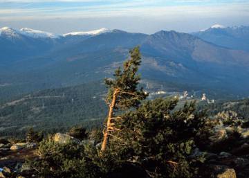 Guadarrama: Un laboratorio de sabor en la Sierra | Madrid | EL PAÍS