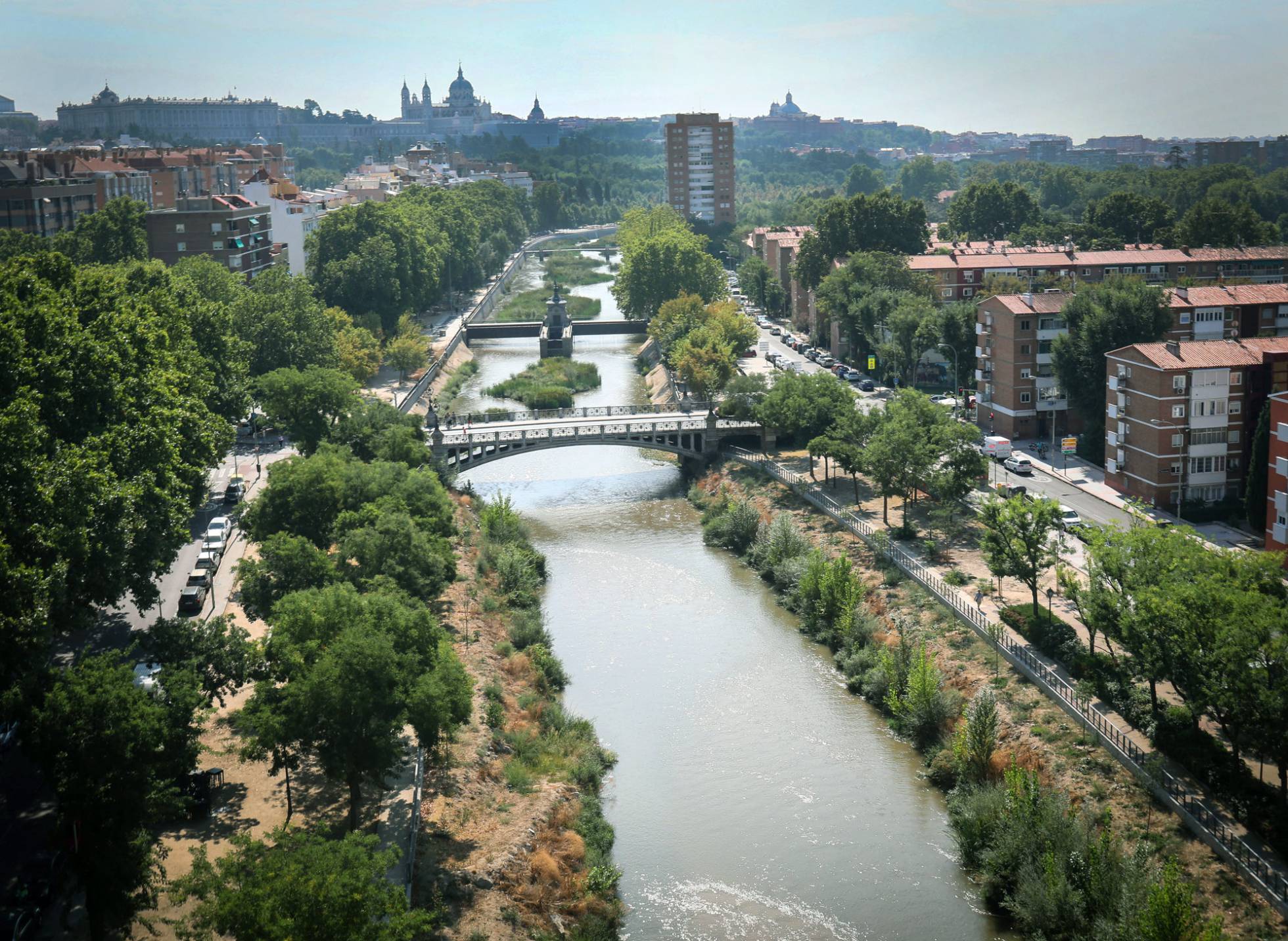 La inesperada recuperación medioambiental del Manzanares