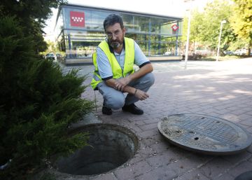 “A las cucarachas les encanta la cerveza”