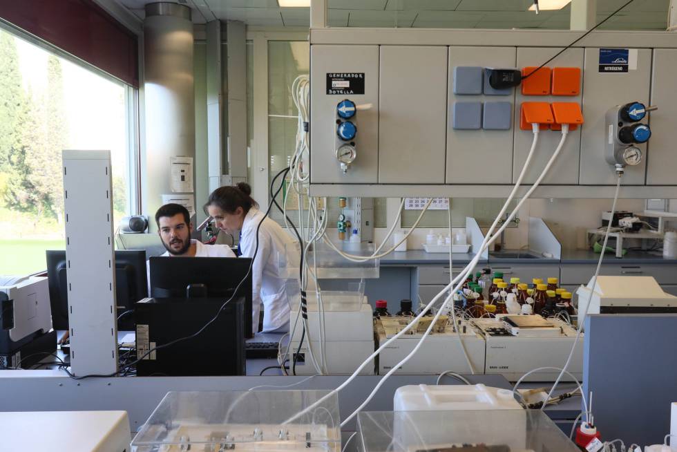 Dos tÃ©cnicos comprueban el resultado de un anÃ¡lisis de agua, este lunes en un laboratorio del Canal de Isabel II.