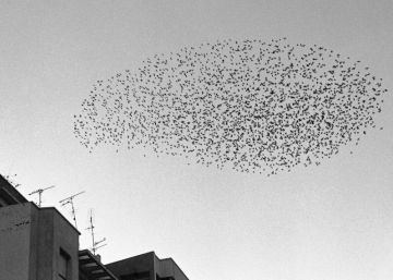 La semana por delante: geometrías inesperadas e ilusiones de cine