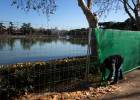 El lago de la Casa de Campo ya tiene agua