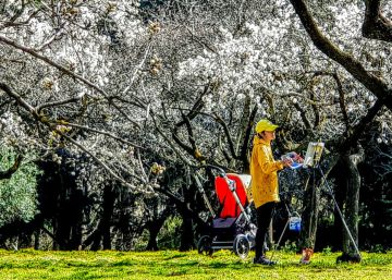 Al abrigo del almendro