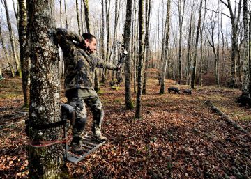 Flechas contra jabalíes en el pulmón de Vitoria