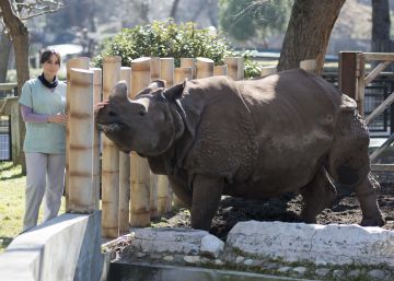 “Los zoos se han transformado en centros de conservación e investigación”