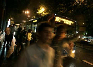 Cuando pierdes el búho