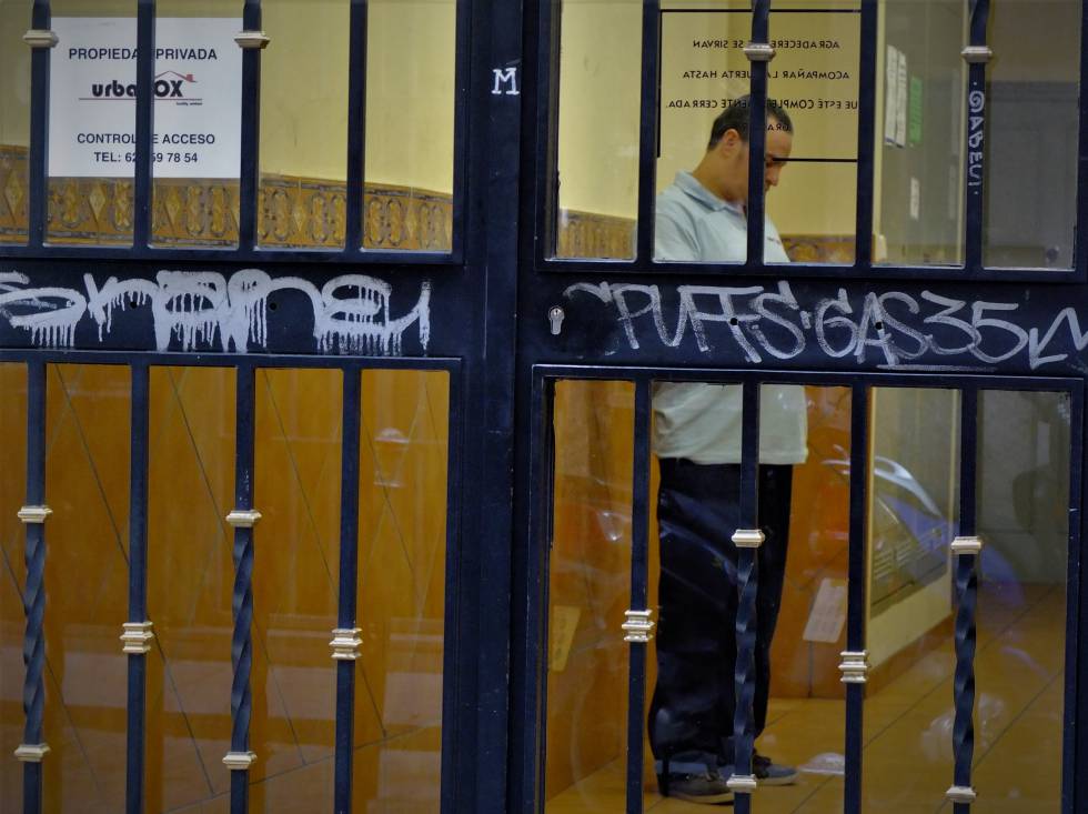 Los vigilantes del fondo âbuitreâ