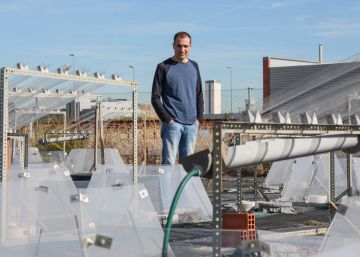 “Ciempozuelos y Aranjuez representan cómo sería Madrid sin huella humana”