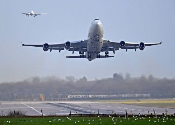 Ni de aquí ni de allá