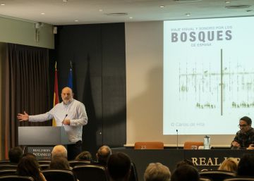 Escucha cómo suenan los bosques: árboles, aves y lobos