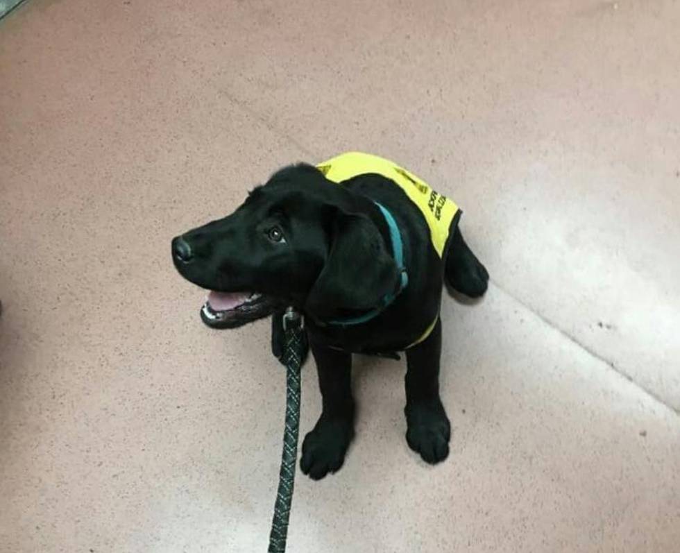 EL PAÍS Blogs - cover