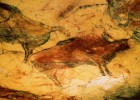 Bisontes de la cueva de Altamira.