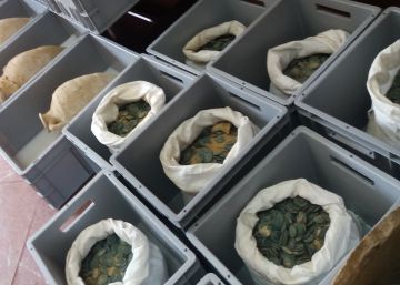 Roman treasure trove uncovered at construction site in Andalusian town