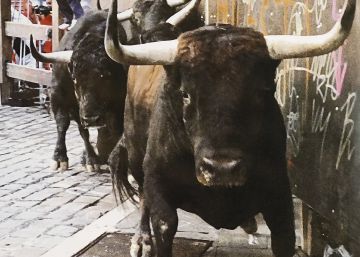 Una foto del encierro en la curva de Mercaderes anunciará San Fermín