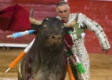 El Pana, en una corrida en México en 2011.