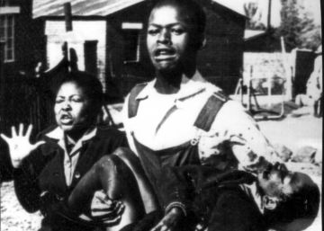 Entre erizos y zorros