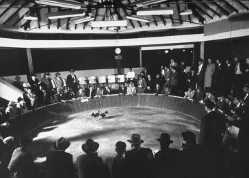 Amor propio fanático