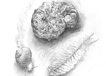 En el gesto hay un mandato