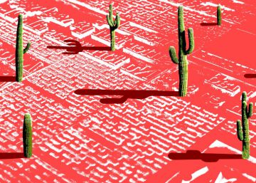 ¡Vivan los búfalos!