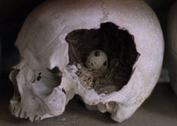 Vuelve Shirley Collins