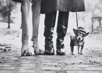 Elliott Erwitt, el fotógrafo errante