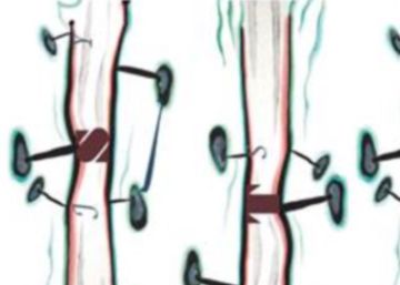 Devociones justificadas