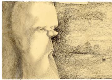 La memoria indulgente