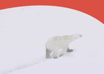 Libros fríos, manos gélidas