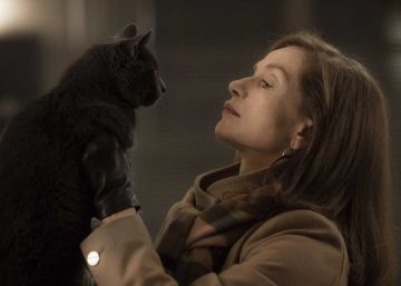 Miradas fragmentadas