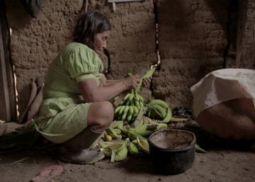 La sabiduría de la Amazonía peruana llega al Festival de Berlín