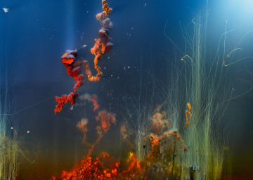 Inquietante extrañeza de David Lynch