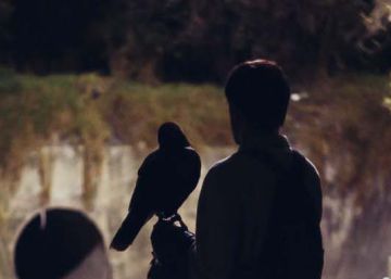 Un laboratorio de cine independiente en México