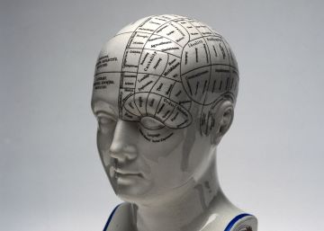 Cerebros sin fronteras