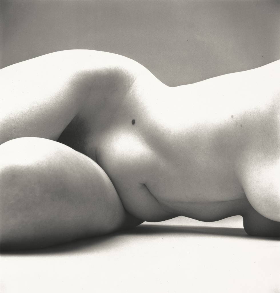 Nude No. 72, Nova York, 1949-50