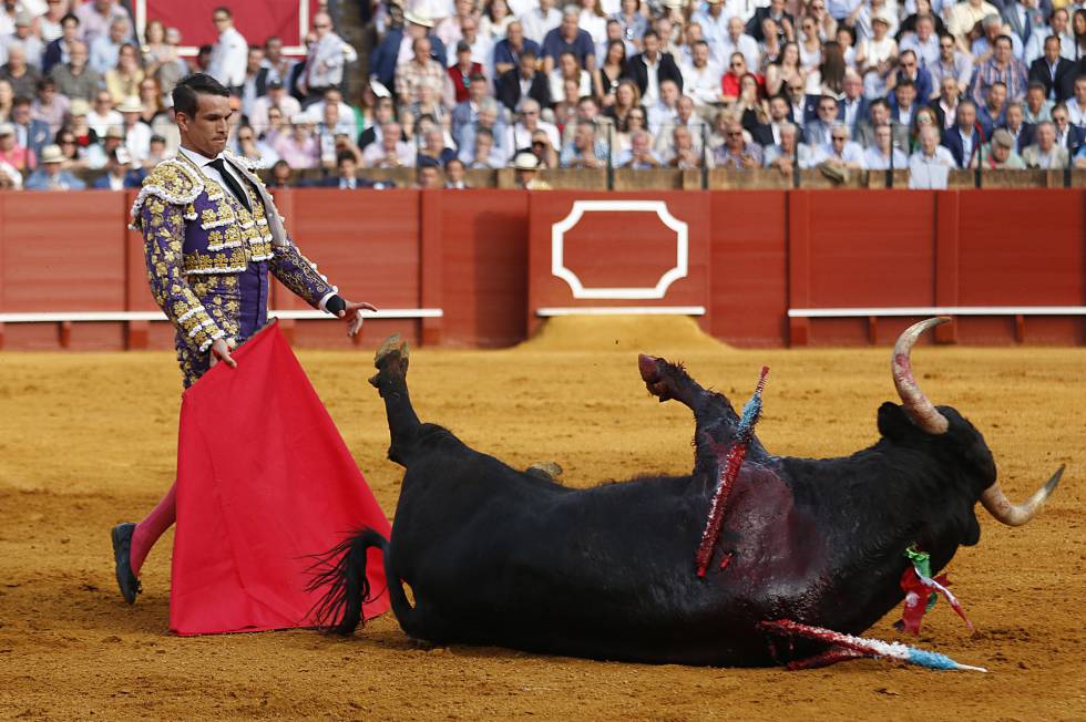 Imagen relacionada