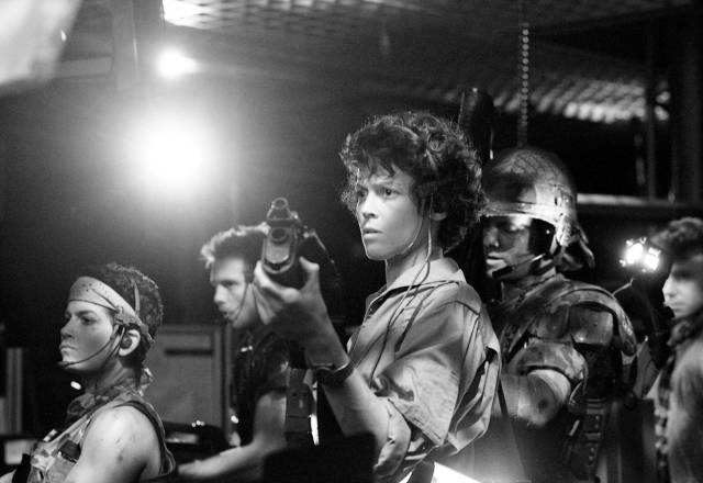 Newt: “Pronto estará oscuro, y en general salen de noche. En general...”