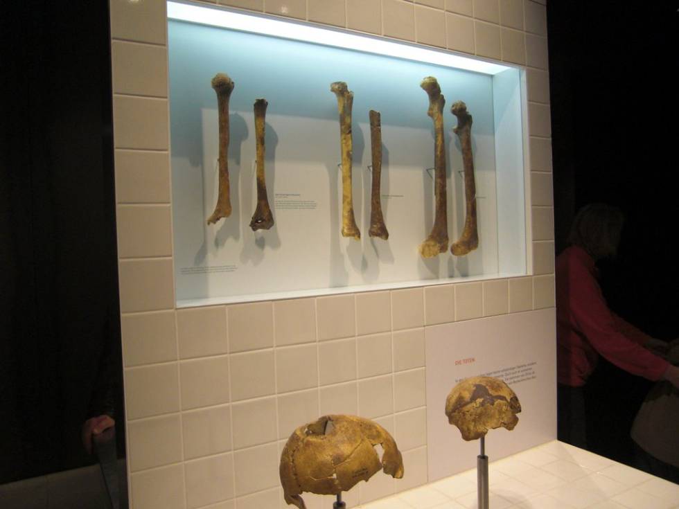 Restos humanos con marcas de heridas de armas en el Museo de Kalkriese.