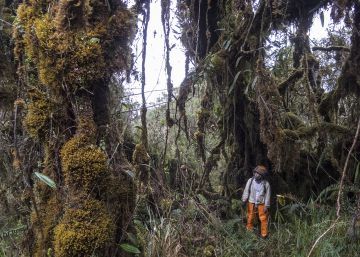 El aventurero que encontró un tesoro en las montañas de Los Andes