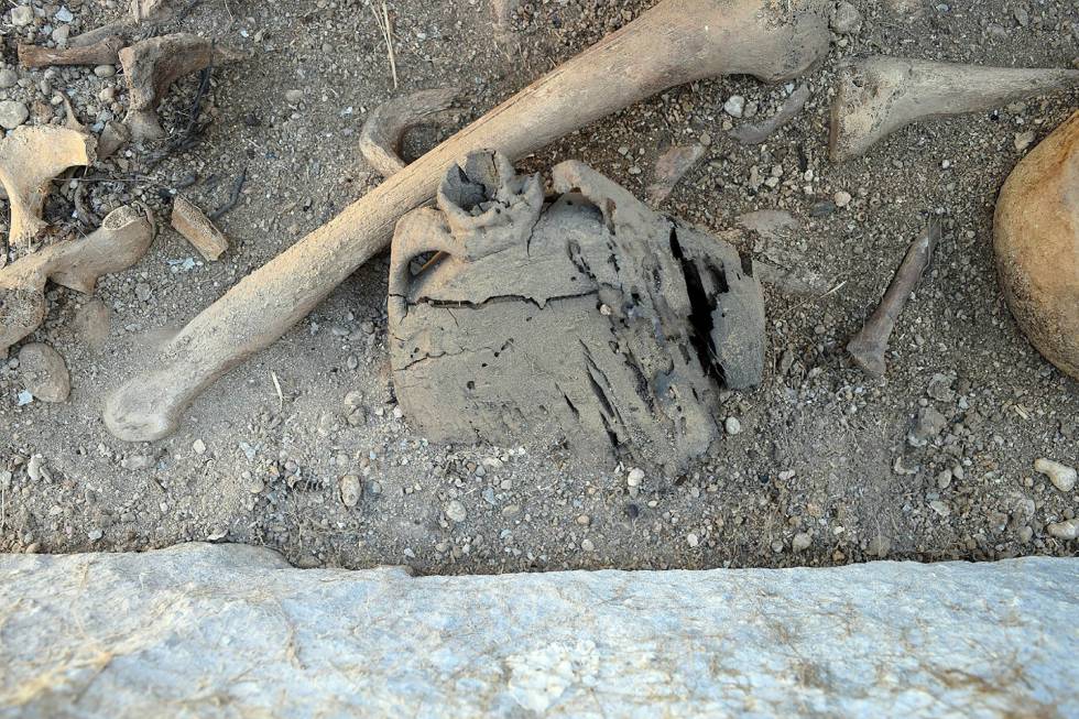 La cantimplora que ha revelado la existencia de un cementerio prehistórico  de los Campos de Urnas, que data del 1.000 a.C.