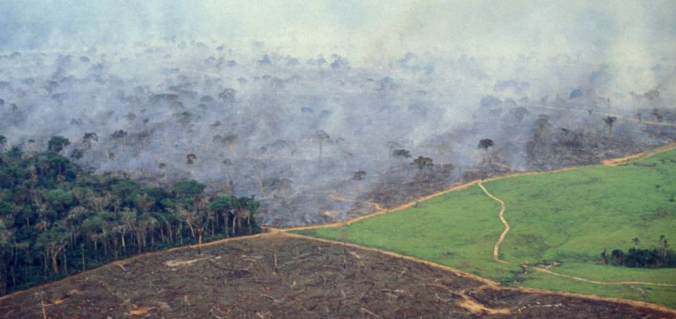 Vista aérea de la selva del Amazonas donde se pueden apreciar los efectos de la deforestación.  
