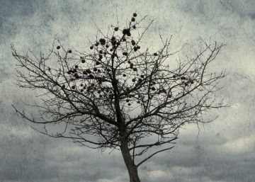 El paraíso que nunca fue tal