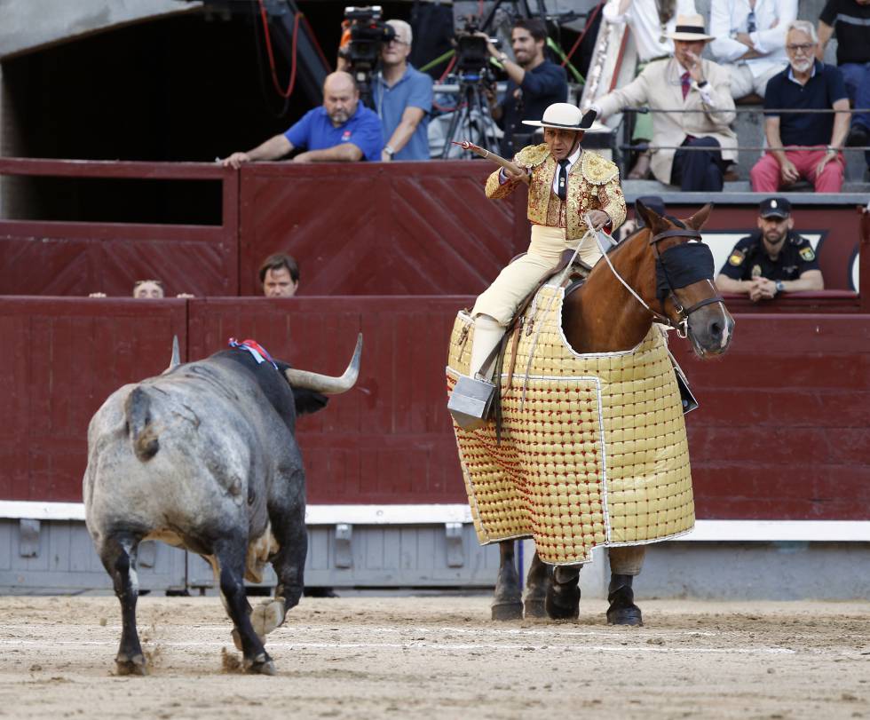 Análisis taurino: Las ganaderías que lidian en Madrid se dividen en ...