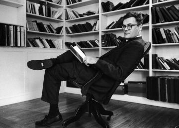 El cachorro (des)obediente