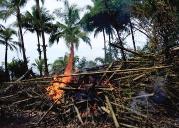 Un imaginario sonoro único